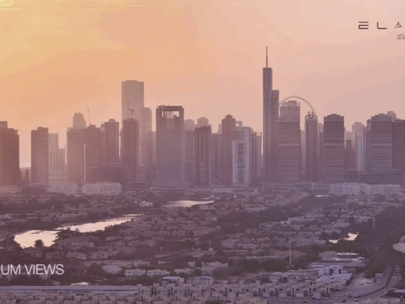 ELAR1S Rise(エラリス・ライズ)