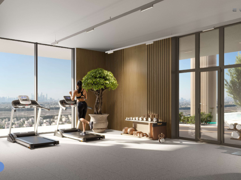 ELAR1S SKY（エラリス・スカイ）