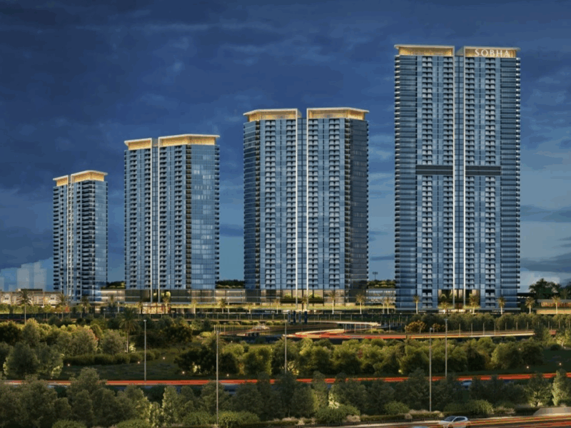 Sobha Solis（ショーバ・ソリス）