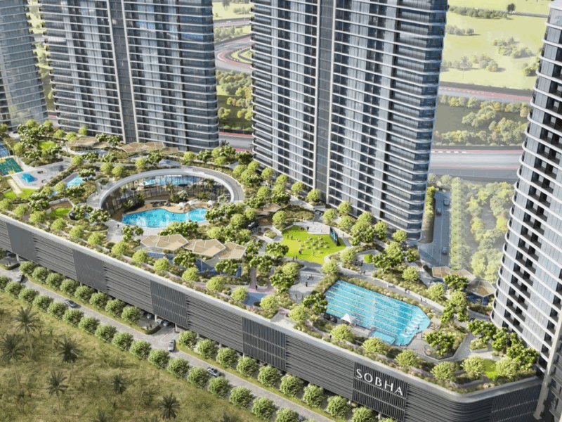 Sobha Solis（ショーバ・ソリス）